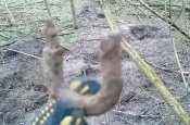 _20171231_002807.JPG