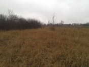 DSC_0993.jpg