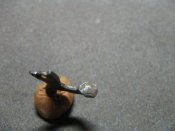 IMG_9662.JPG