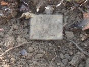 DSCF3938.jpg