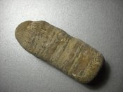 DSCN1784.jpg
