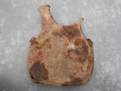 DSCN1631.JPG
