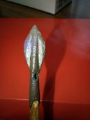 IMG_20180107_084351.jpg