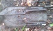 IMG_20180107_104831.jpg
