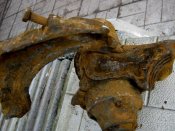 IMG_1794.jpg