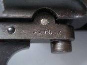 IMGP9428.JPG