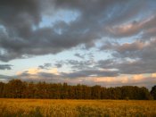 IMG_5038.jpg