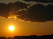 IMG_5036.jpg