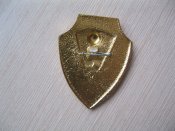 За активную работу по охране общественного порядка.