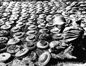 T.-Mi.-Pilz 43_2.jpeg