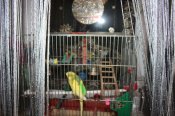 IMG_2504.JPG