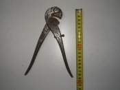 P1010006.jpg
