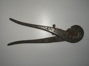 P1010007.jpg