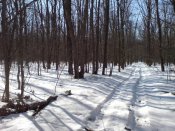 DSC00037.jpg