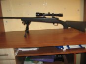 IMG_2272[1].JPG