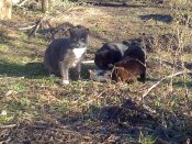DSC_1021.jpg