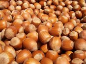 a-Hazelnuts.jpg
