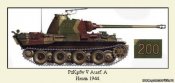 4904444.jpg