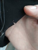 IMG_20171222_143602.jpg