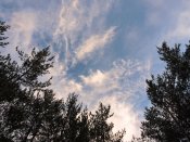 DSCN8490.JPG