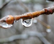 DSCN8692.1.jpg