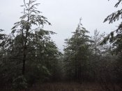 DSCN8697.JPG