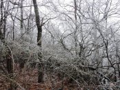DSCN8704.JPG