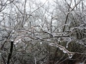 DSCN8706.JPG