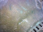 20180111_092431.jpg