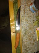 IMG_20170802_093224343.jpg