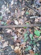 20180108_101858.jpg