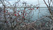 IMG_2018-01-11_095218_HDR.jpg