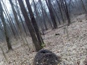 IMG_20180111_093630.jpg