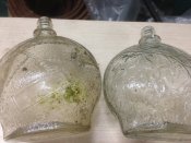 IMG_0731[1].JPG