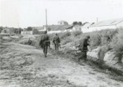 7b8062787530.jpg