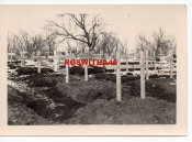 nazi-occupation-of-belgorod-1941-f557.jpg