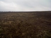 IMG456.jpg