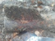 image-0-02-05-16e330e2ebb240d6ac1e649854173c0a7619d2adc23be832350c68ccc799ee17-V.jpg