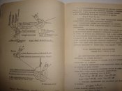 DSC05573.JPG