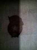 IMG_20180113_114317.jpg