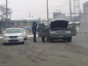 кобра в дніпропетровську.jpg