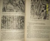 Изображение 009.jpg