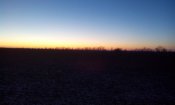 IMG_20180114_162936.jpg