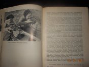 DSCN7266.JPG