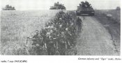5217264256.jpg