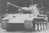 Pbzv_1.jpg