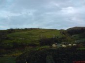 DSC00046.JPG