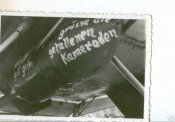 3703_3.jpg