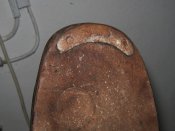 IMG_0051.JPG