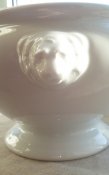 P1050840-1.jpg